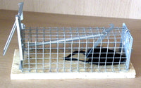 Mäusekäfigfalle mit 1 Eingang